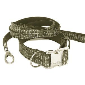 Patent Leather Faux Croc Embossed Collar & Leash,17"-20"